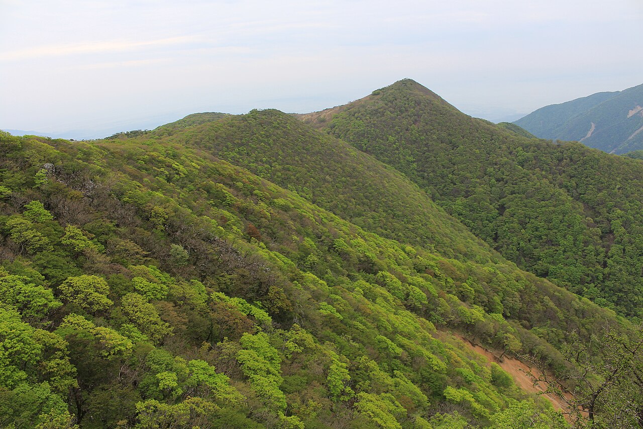 藤原岳